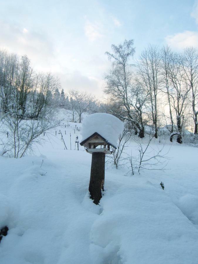 Ferienwohnung ชมาลเลนแบร์ก ภายนอก รูปภาพ